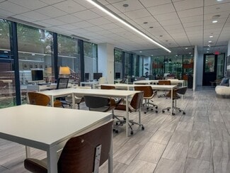 Houston, TX Office - 17 S Briar Hollow Ln