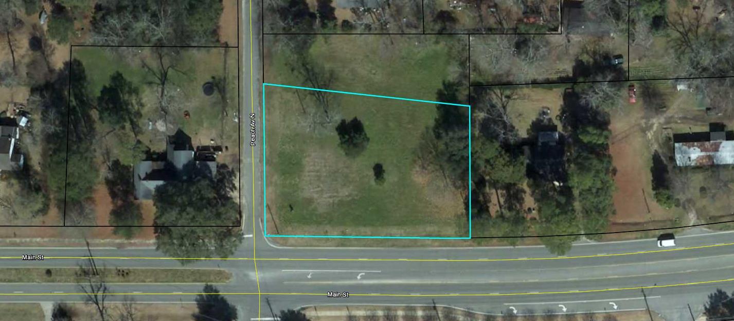 102 Peach N ave, Leesburg, GA for Sale
