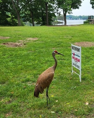 Waterford, MI Residential - 00 Blain Island Dr