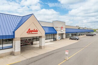 Newaygo, MI Retail - 147-193 W River Valley Dr
