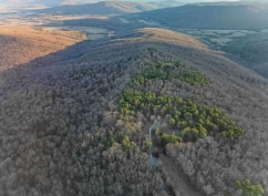 1150 Pleasant Grove Rd, Woodville, AL for Sale