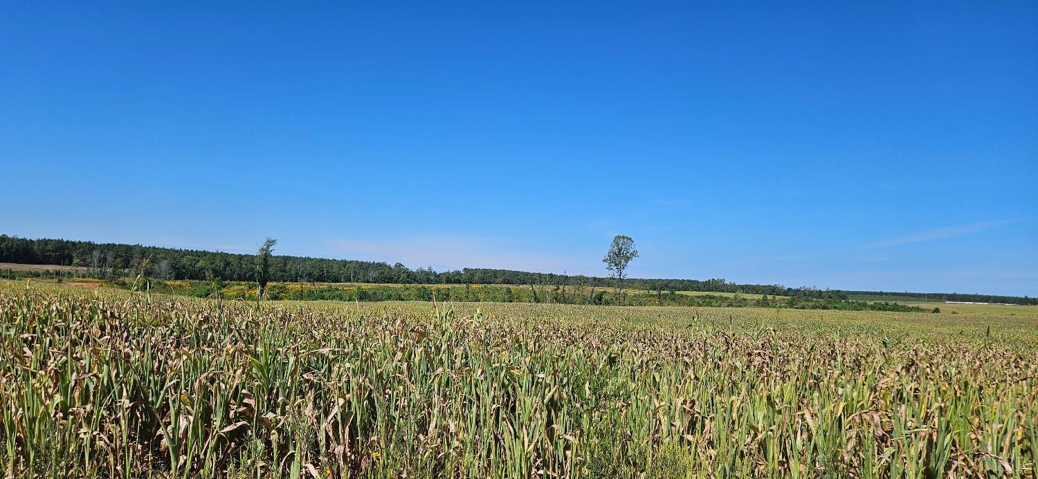 Glenmore Road, Scottsville, VA for Sale