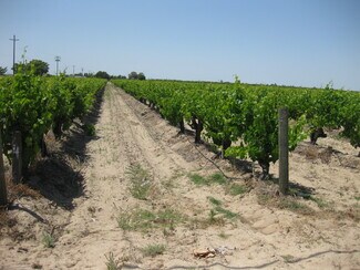 Fresno, CA Agricultural - 2738 E Rose Ave Fresno, CA Agricultural - 2738 E Rose Ave