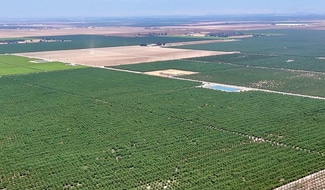 Earlimart, CA Agricultural Land - 7498 Road 140