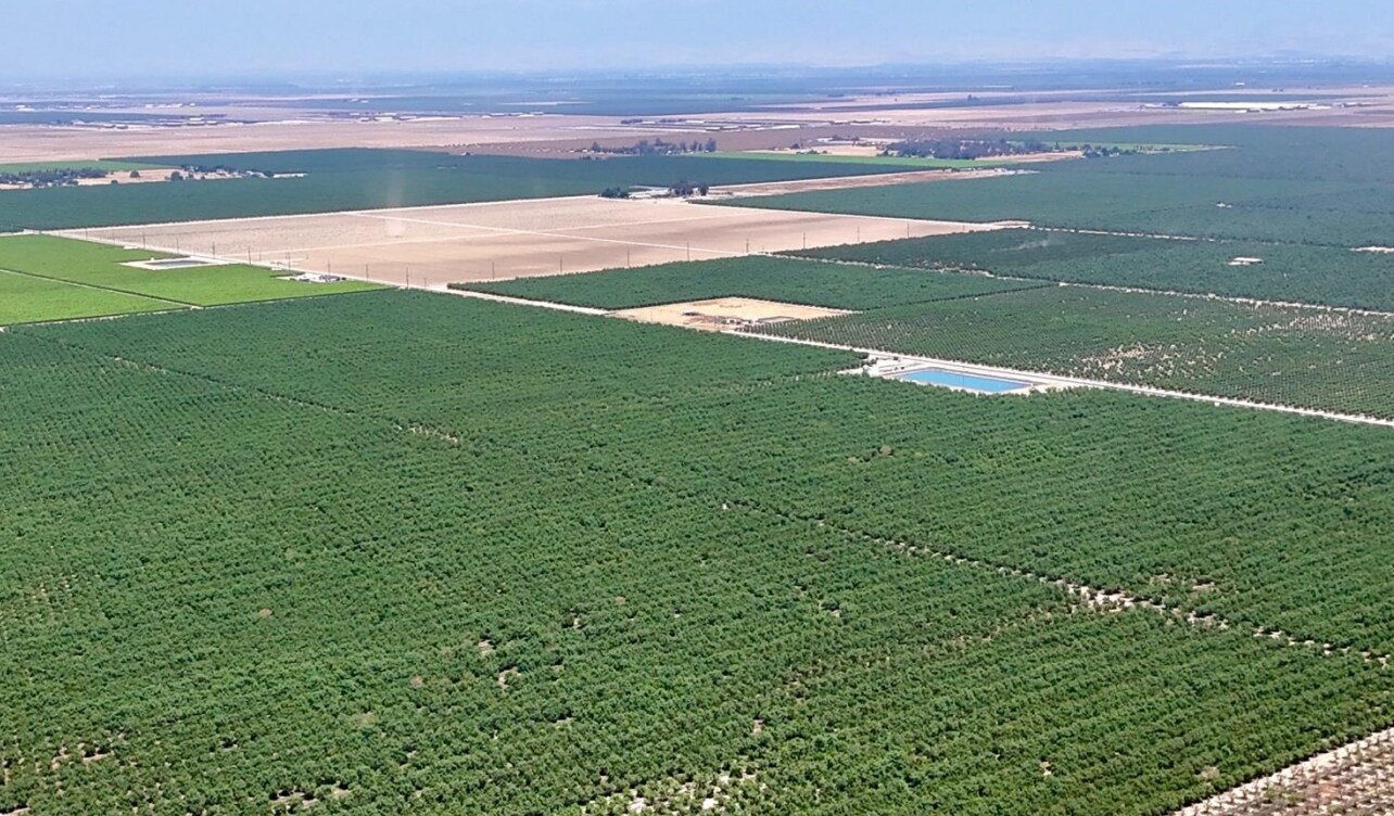 7498 Road 140, Earlimart, CA for Sale