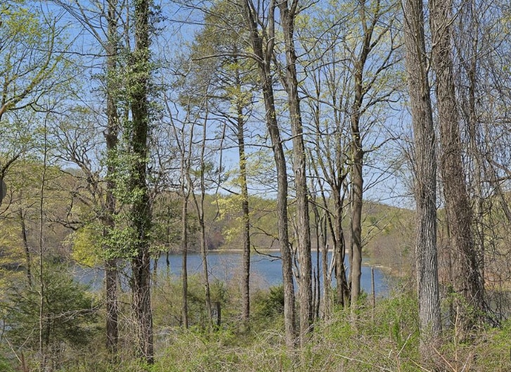 6 Wampus Lake Dr, Armonk, NY for Sale