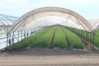 Oxnard, CA Agricultural Land - 0 Wood Rd