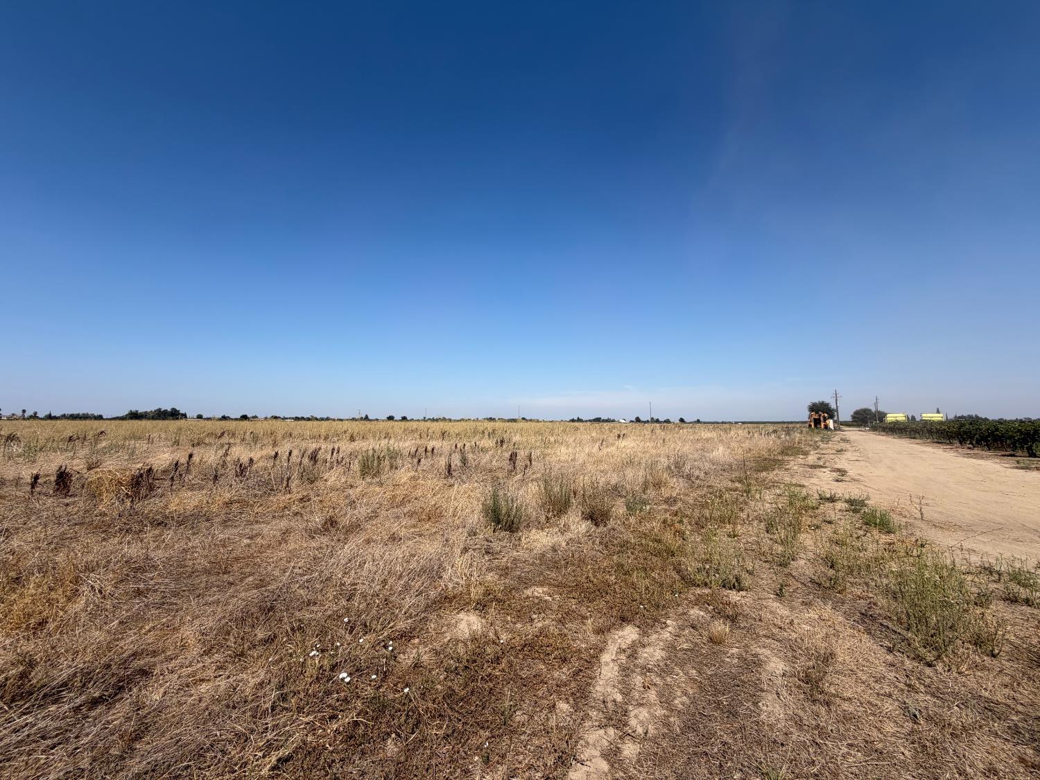 14100 Locust Tree rd, Lodi, CA for Sale