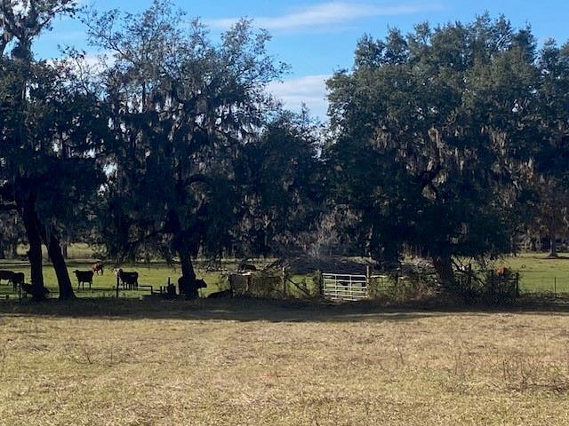 16325 Clarence Lee Rd, Groveland, FL for Sale