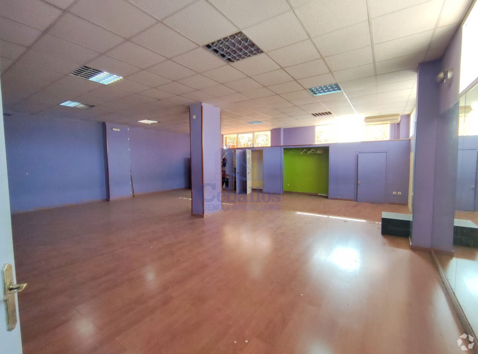 , Guadalajara, GUA for Rent