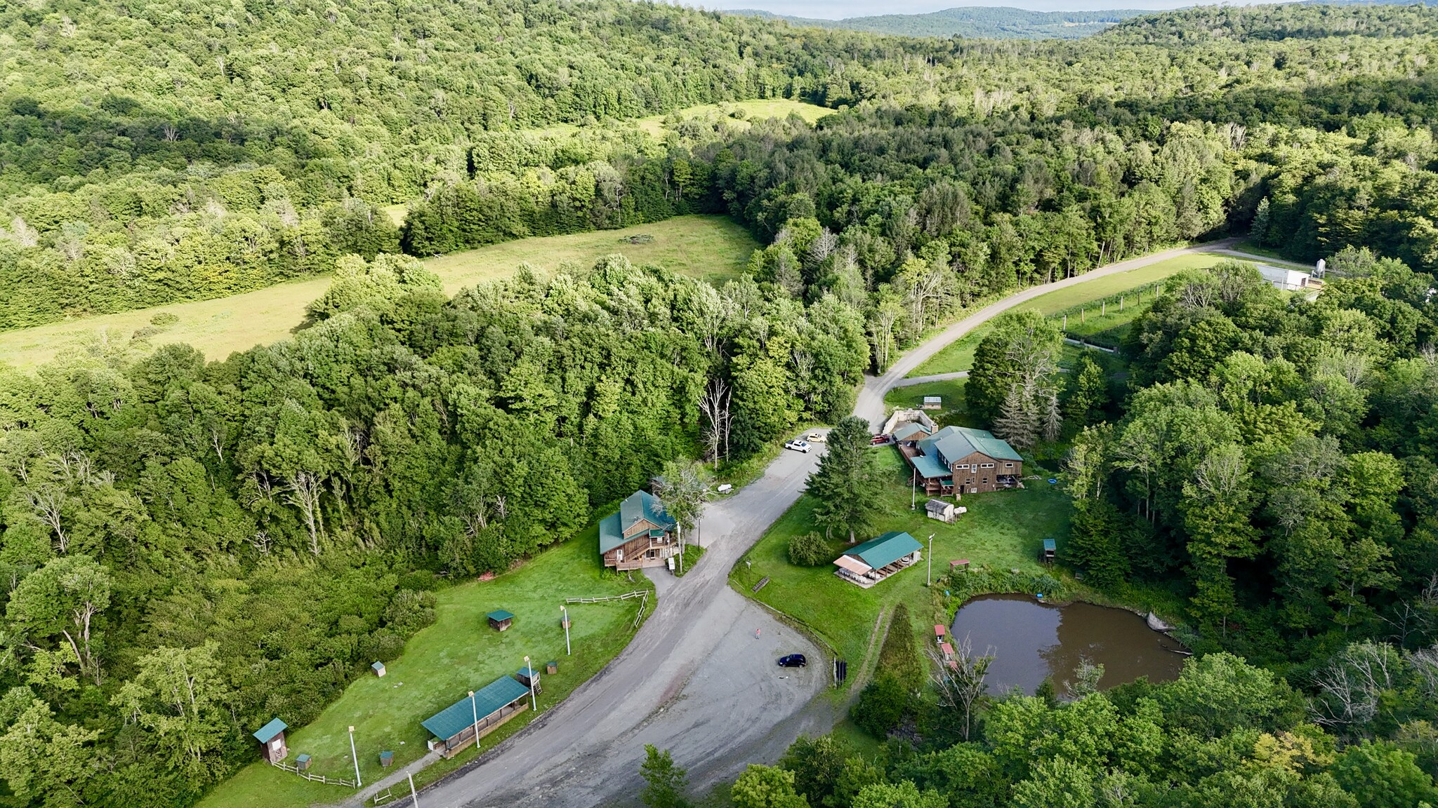 374 Neer Rd, Long Eddy, NY for Sale