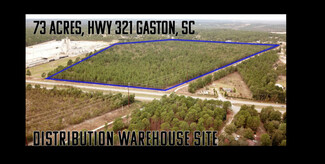 Gaston, SC Commercial Land - 5046 Hwy 321