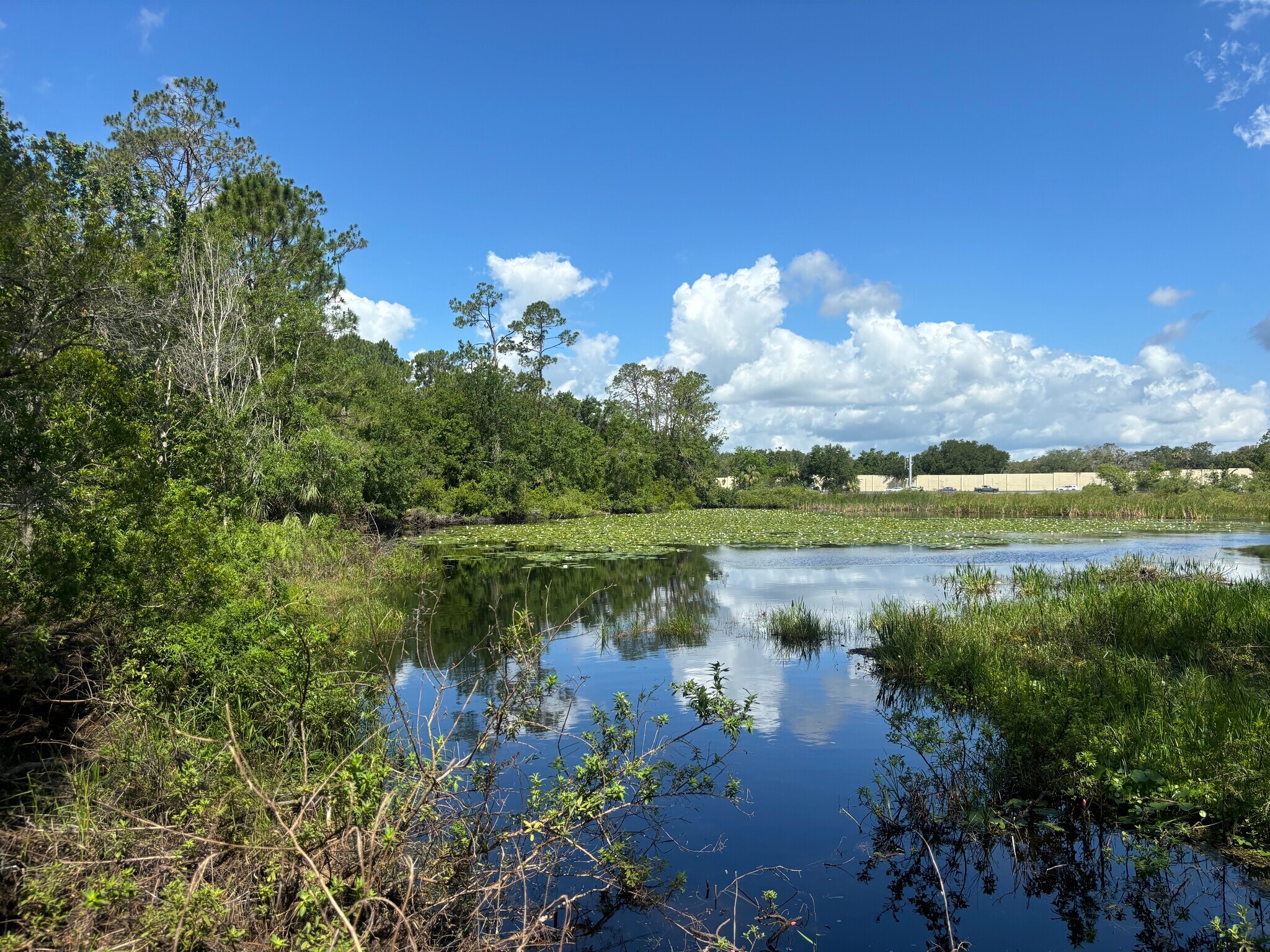 28651 Tupper Rd, Wesley Chapel, FL for Sale