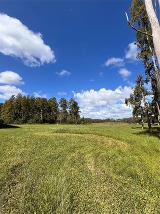 Lutz, FL Churches - 1029 Van Dyke Rd