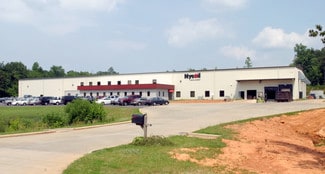 Randleman, NC Industrial - 164 Pointe South Dr