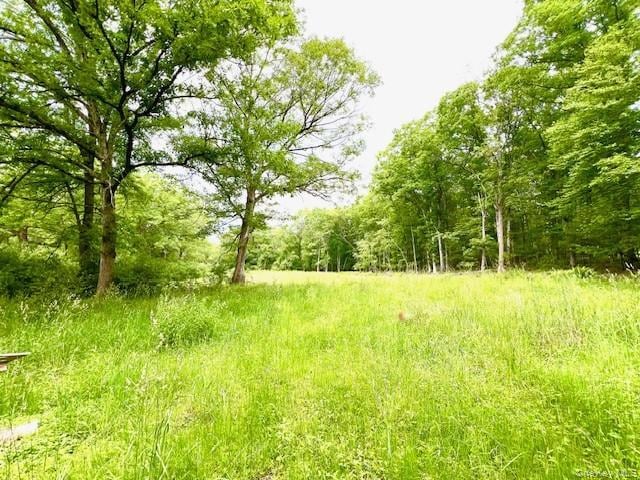 7584 NY-97, Narrowsburg, NY for Sale