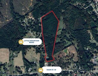 Ninety Six, SC Agricultural Land - 00 Little Mountain Rd