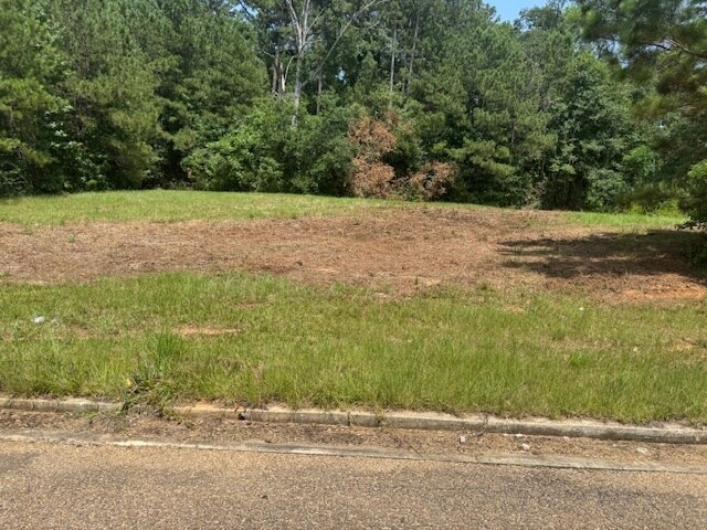 Parklane Rd, Mccomb, MS for Sale