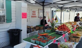 Sarasota, FL undefined - 3351 Bahia Vista St