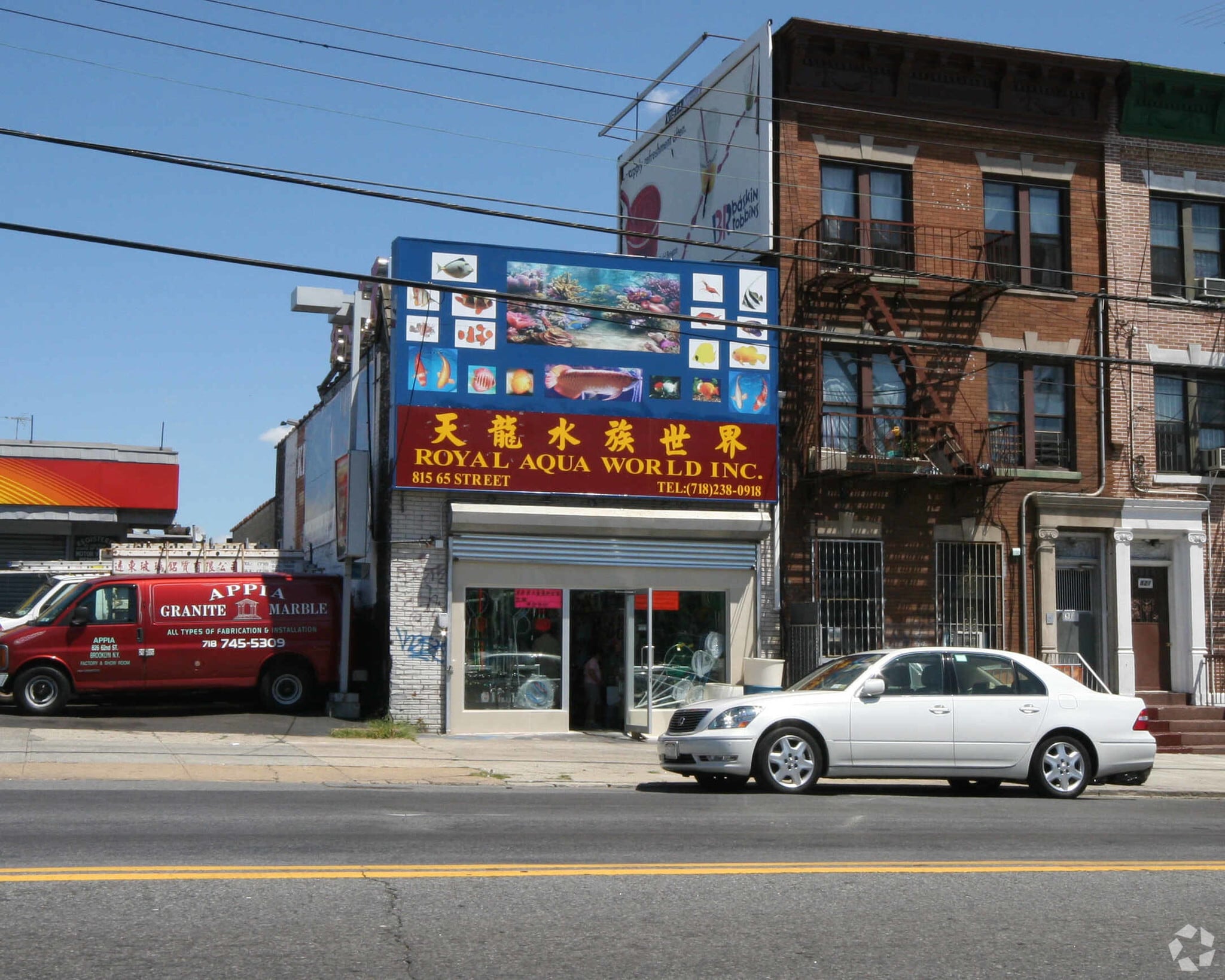 815 65th St, Brooklyn, NY for Sale