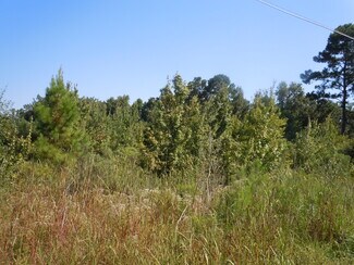 Fair Bluff, NC Residential - Near 10700 Andrew Jackson Highway