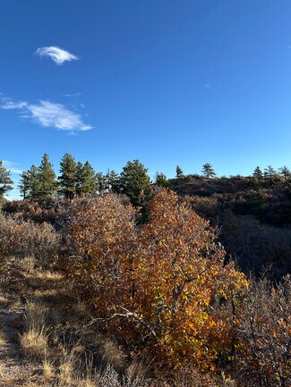 Castle Rock, CO Residential Land - 4040 Bell Mountain Dr Castle Rock, CO Residential Land - 4040 Bell Mountain Dr