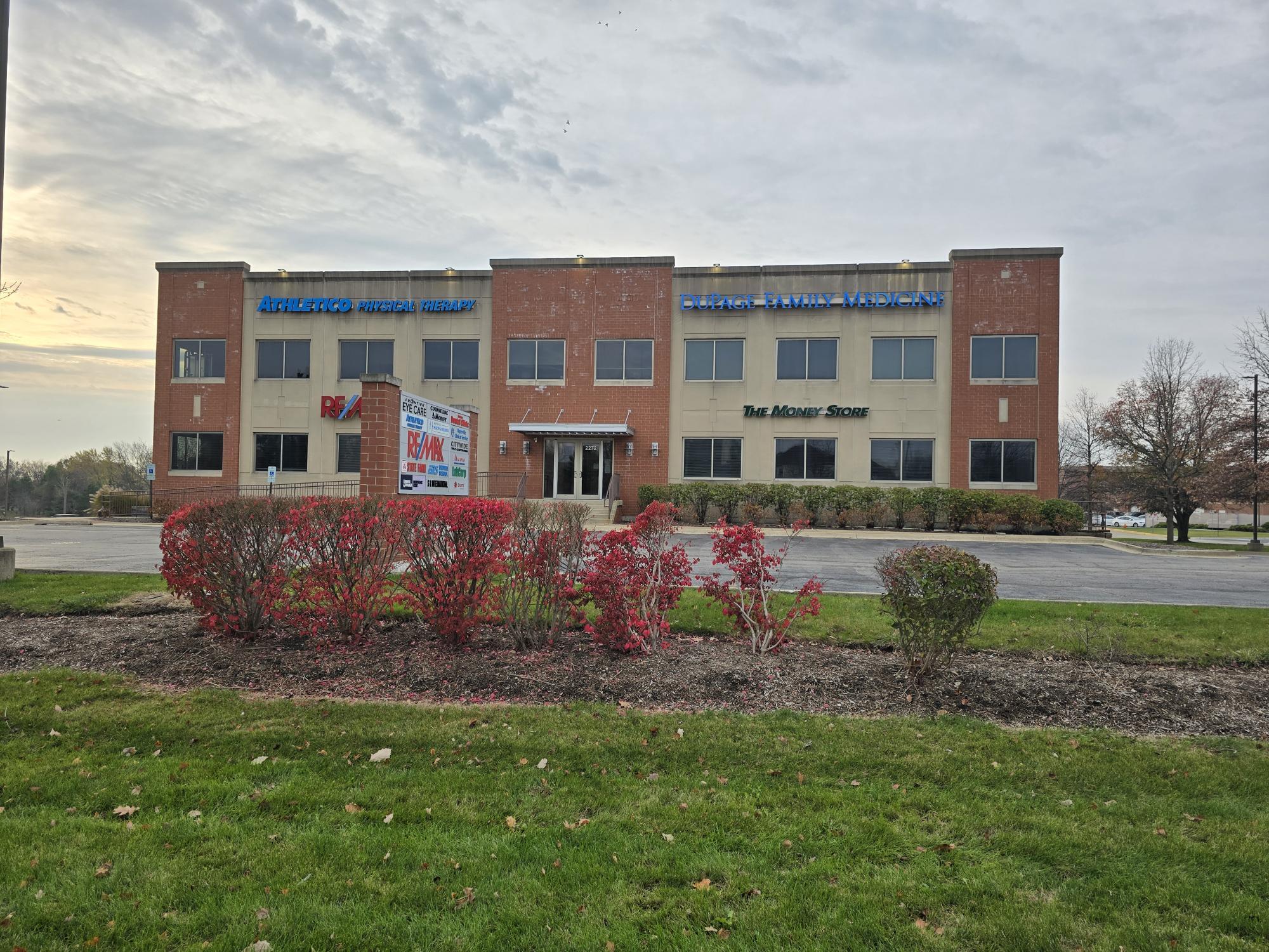 2272 95th St, Naperville, IL for Sale