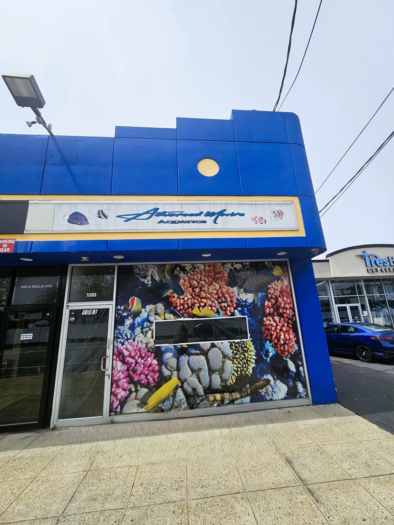 1079-1083 Willis Ave, Albertson, NY for Rent