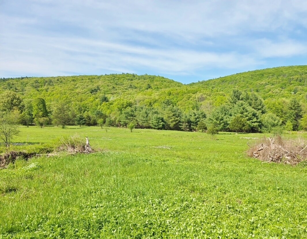 308 NY-28, Kingston, NY for Sale