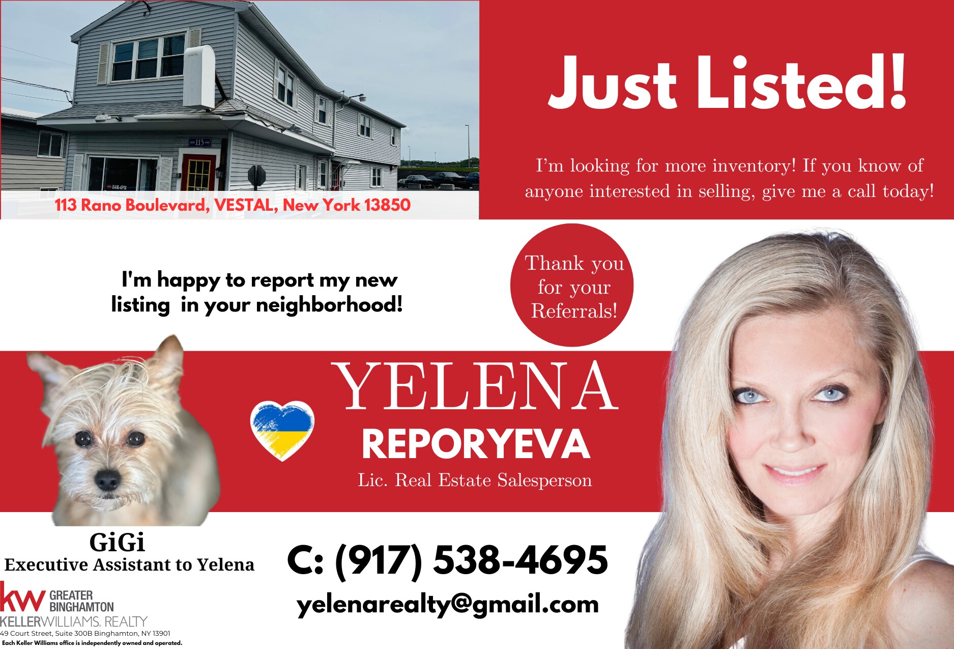 113 Rano Blvd, Vestal Township, NY for Sale