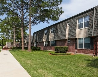 Friendswood, TX Apartments - 111 Skyview Ter
