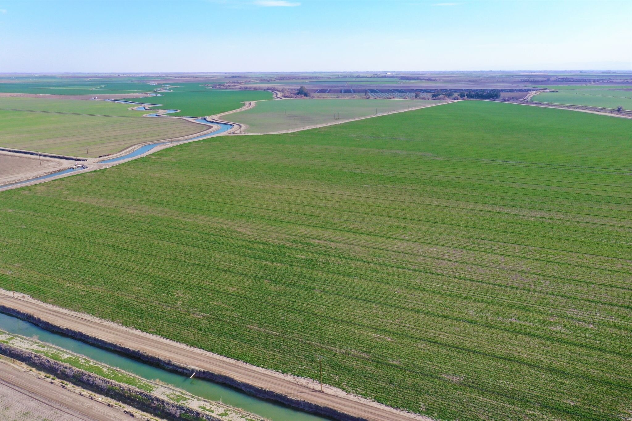 Erreca Rd @ Chamberlain Rd, Dos Palos, CA for Sale