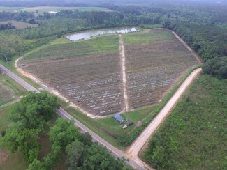 Meigs, GA Agricultural - Harmony Road