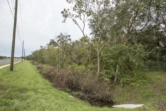 Arcadia, FL Residential Land - SW Hwy 17