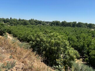 Oakdale, CA Agricultural Land - 0 Jackson Road Rd