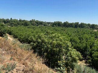 Oakdale, CA Agricultural - 0 Jackson Road Rd