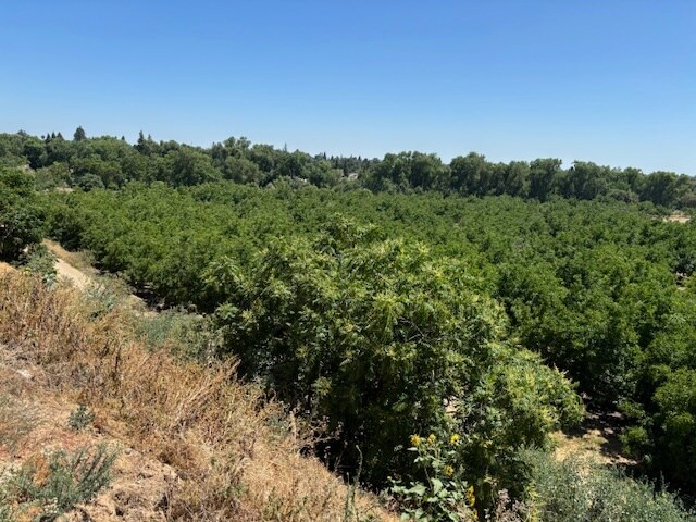 0 Jackson Road Rd, Oakdale, CA for Sale