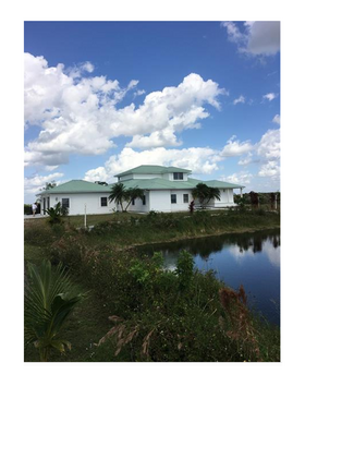 Punta Gorda, FL Agricultural Land - 38320 Cook Brown Rd