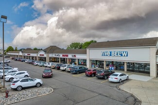 Okemos, MI Retail - 4900-4950 Marsh Rd