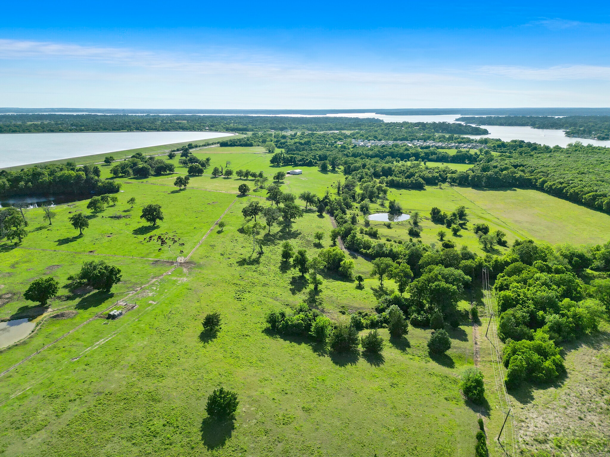 11250 Longstreet Rd, Willis, TX for Sale