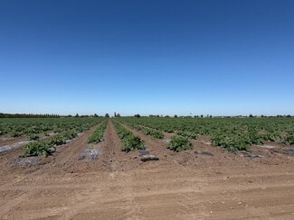 Stockton, CA Agricultural - 2110 Drais Rd
