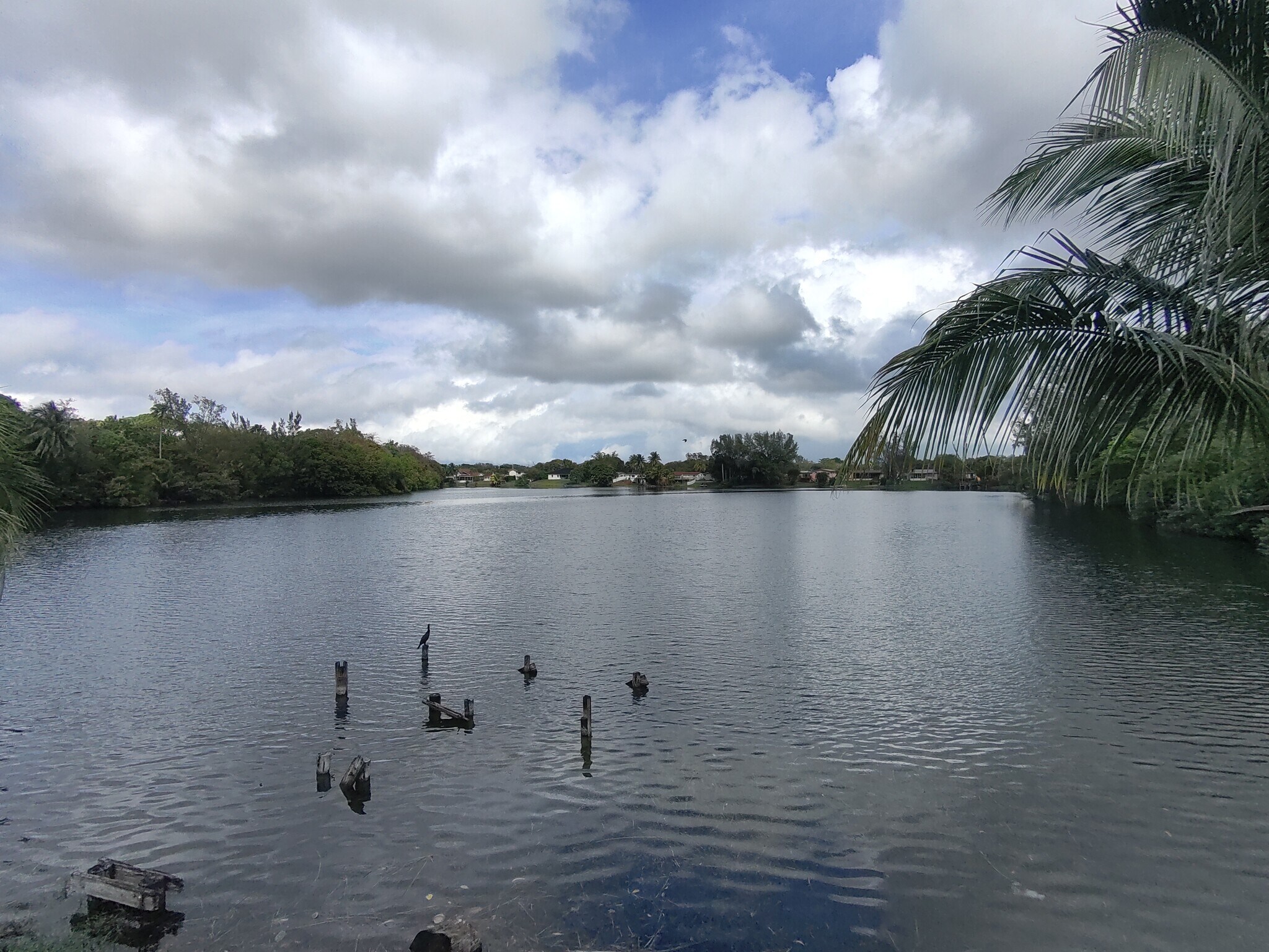 13901 NW 17th Ave, Miami, FL for Sale