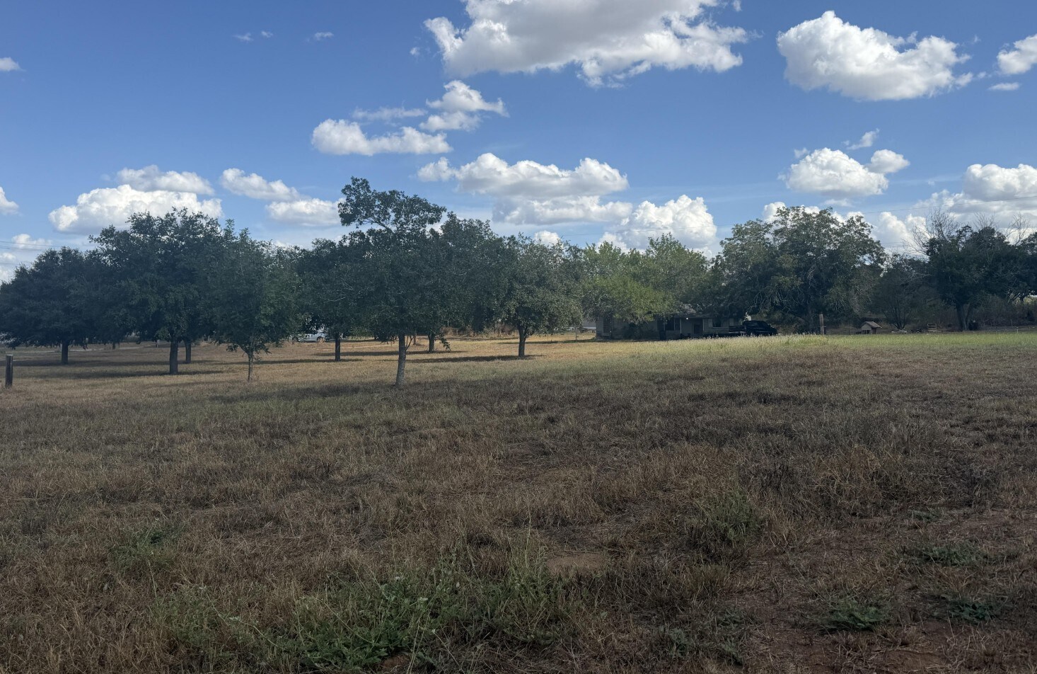 1200 W Main St, Stockdale, TX for Sale