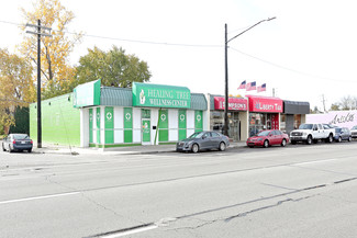 Detroit, MI undefined - 15270-15304 E 8 Mile Rd