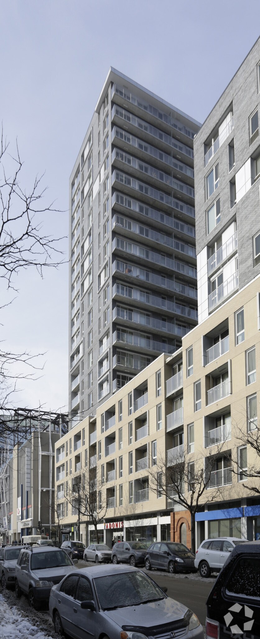 2173 Rue Sainte-Catherine O, Montréal, QC for Sale