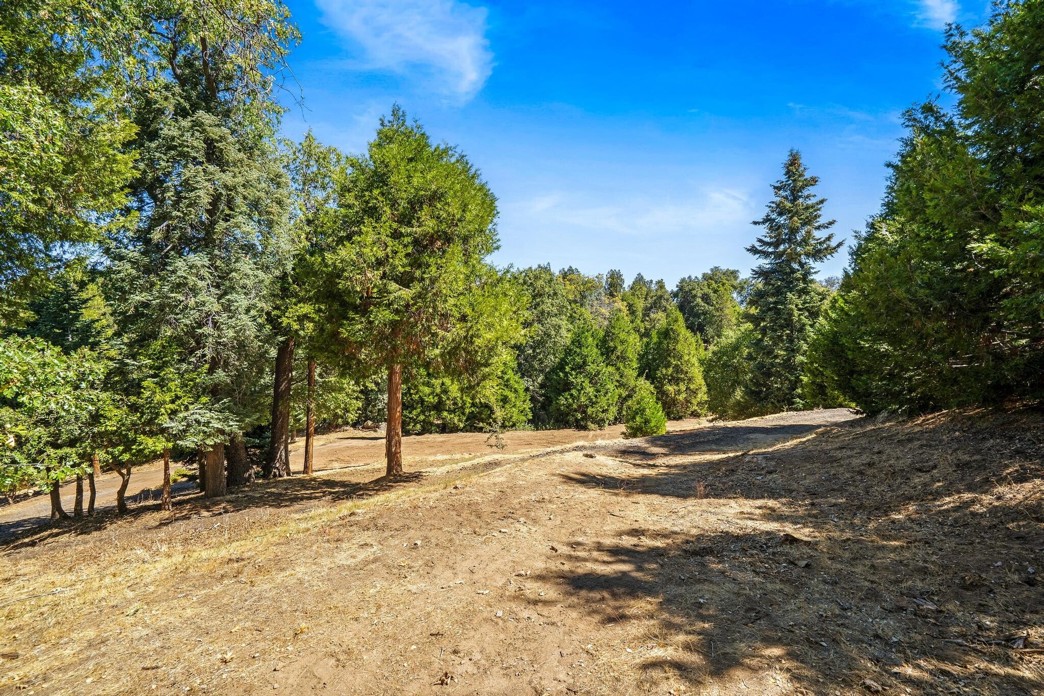 22520 Greenfield Way, Palomar Mountain, CA for Sale