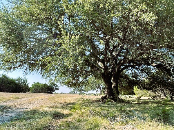 4547 County Road 108, Burnet, TX for Sale