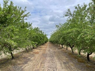 Del Rey, CA Agricultural - 12251 E Jefferson Ave