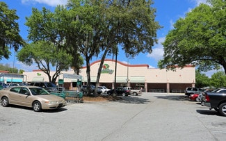 Seffner, FL Retail - 11230 Martin Luther King Blvd