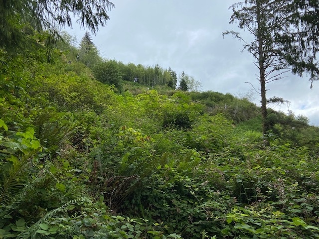 TL 203 Beaver Creek, Seal Rock, OR for Sale